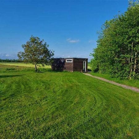 Tiny House "De Veenpolder" De Veenhoop Eksteriør billede