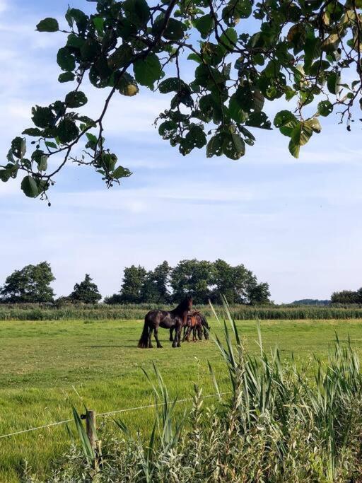 Tiny House "De Veenpolder" De Veenhoop Eksteriør billede